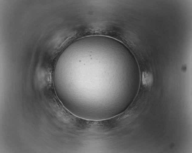 X0000116261155200912211730
