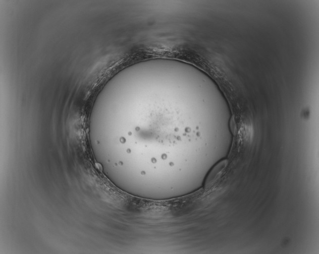 X0000116261156200912211730