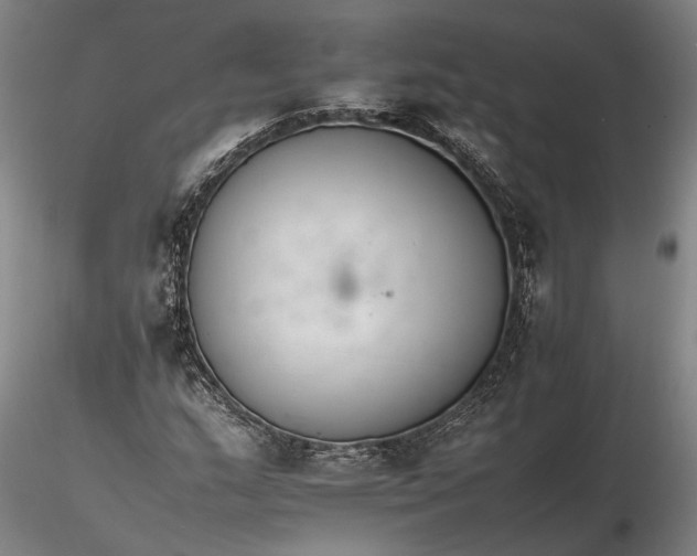 X0000116261159200912211730