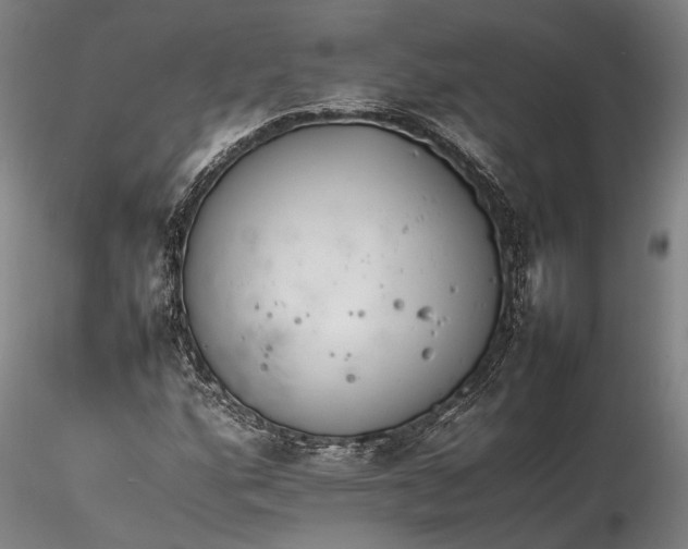 X0000116261160200912211730