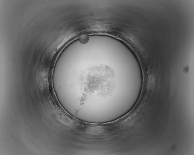 X0000116261162200912211730