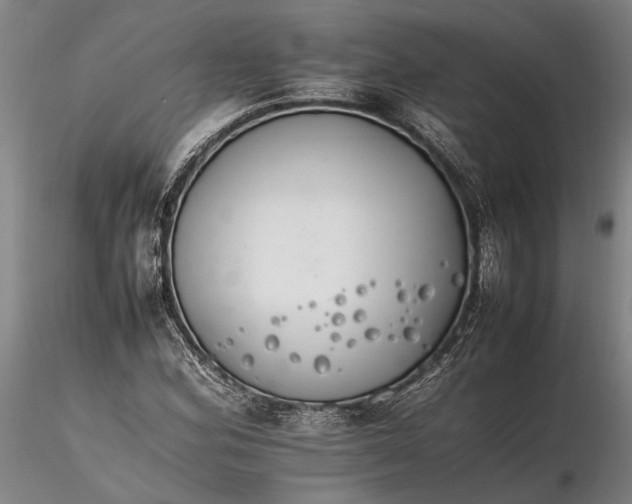 X0000116261164200912211730