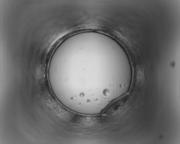 X0000116261166200912211730