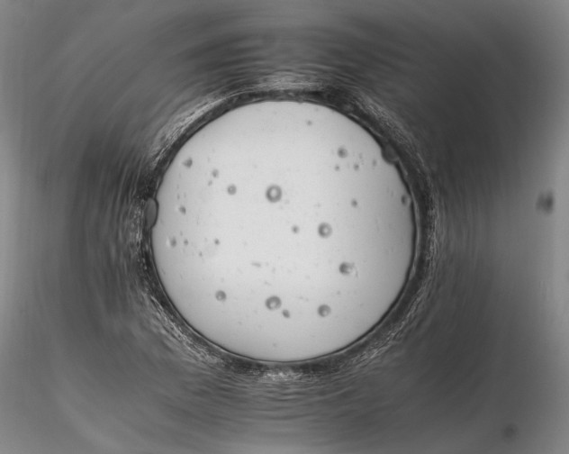 X0000116261169200912211730