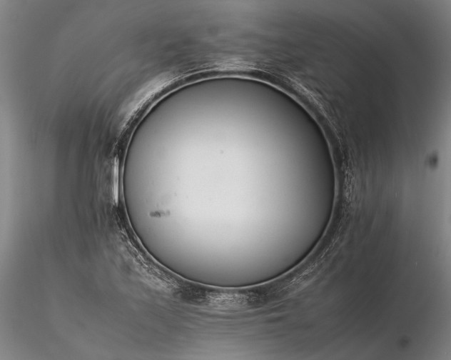 X0000116261171200912211730