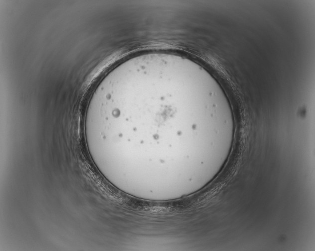 X0000116261173200912211730