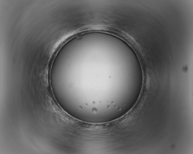 X0000116261174200912211730