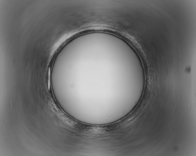 X0000116261175200912211730
