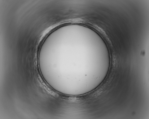 X0000116261176200912211730