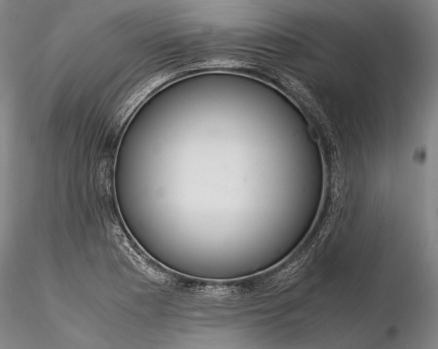 X0000116261177200912211730