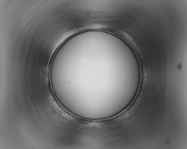 X0000116261178200912211730