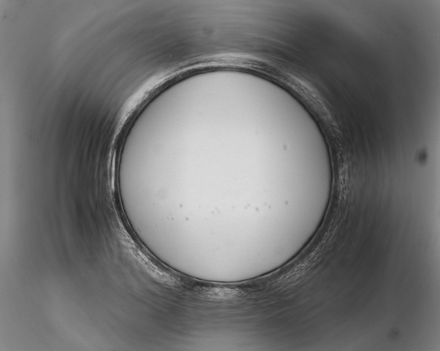 X0000116261180200912211730