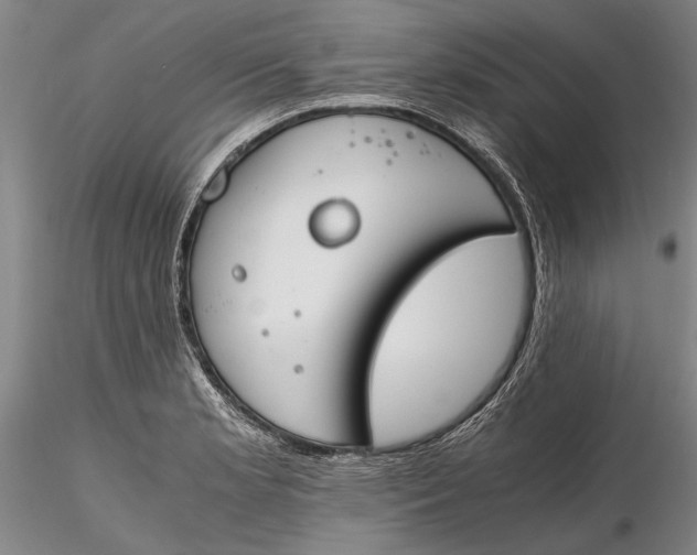 X0000116261181200912211730