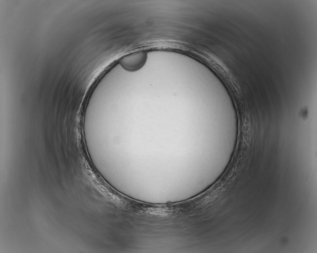 X0000116261182200912211730