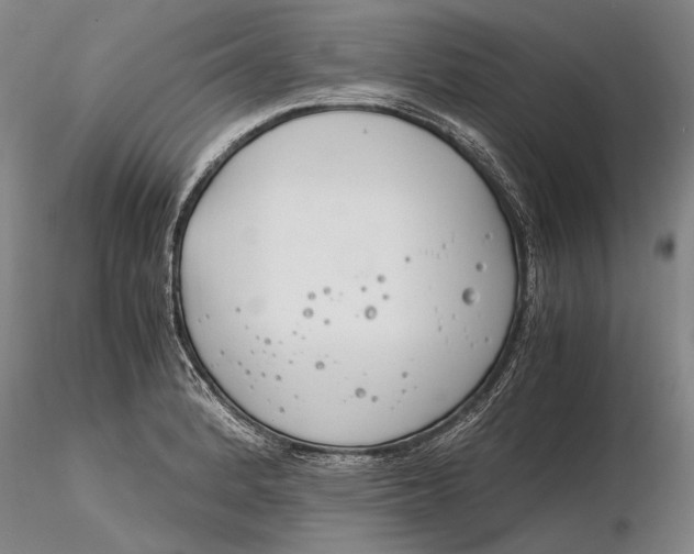 X0000116261184200912211730