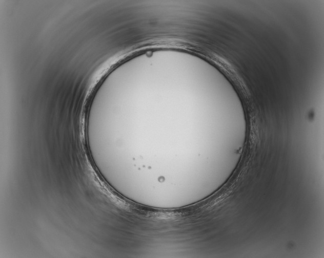 X0000116261188200912211730