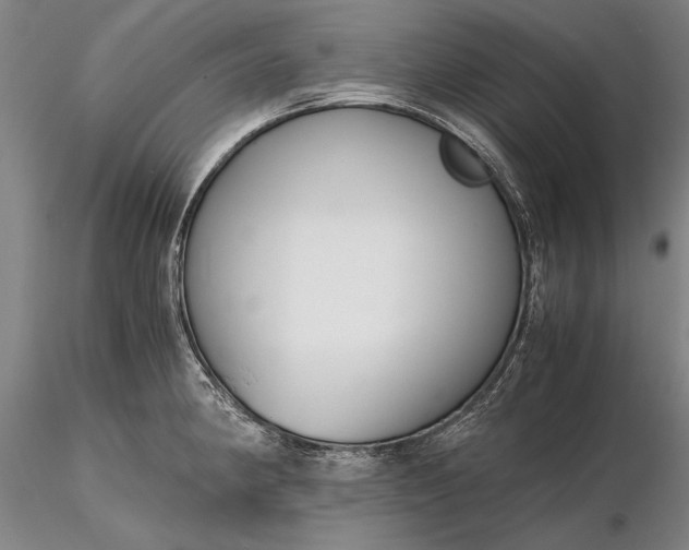X0000116261190200912211730
