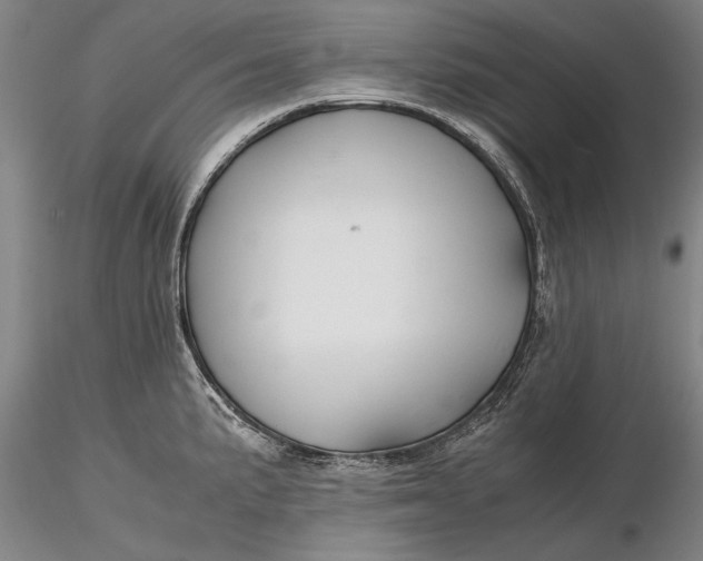X0000116261191200912211730
