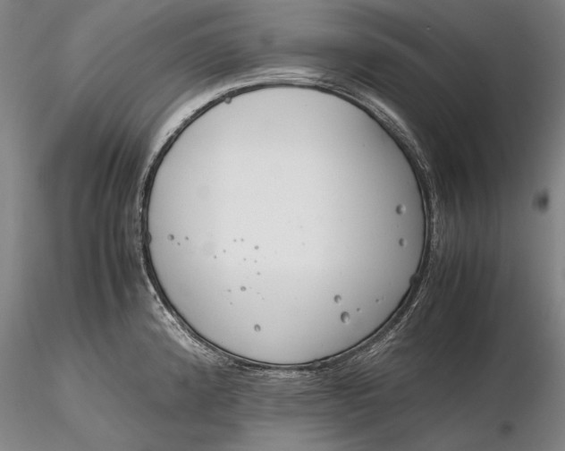 X0000116261192200912211730