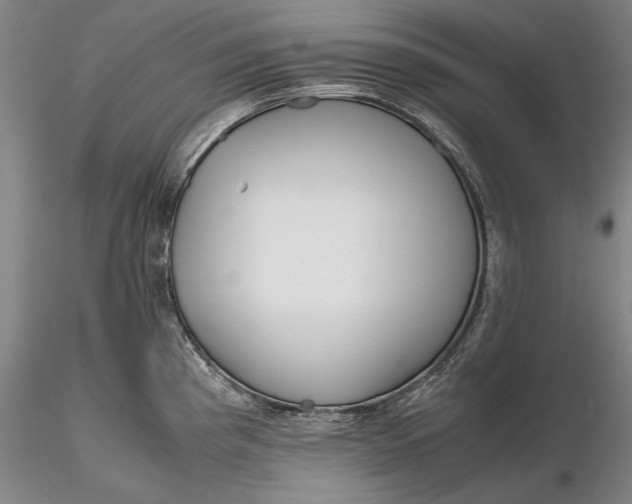 X0000116261193200912211730