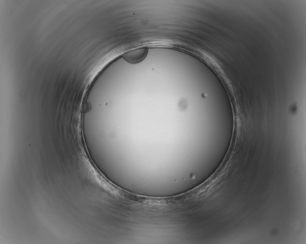 X0000116261194200912211730