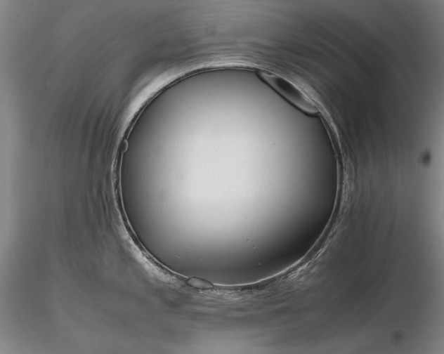 X0000116261197200912211730