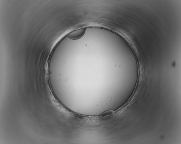 X0000116261198200912211730