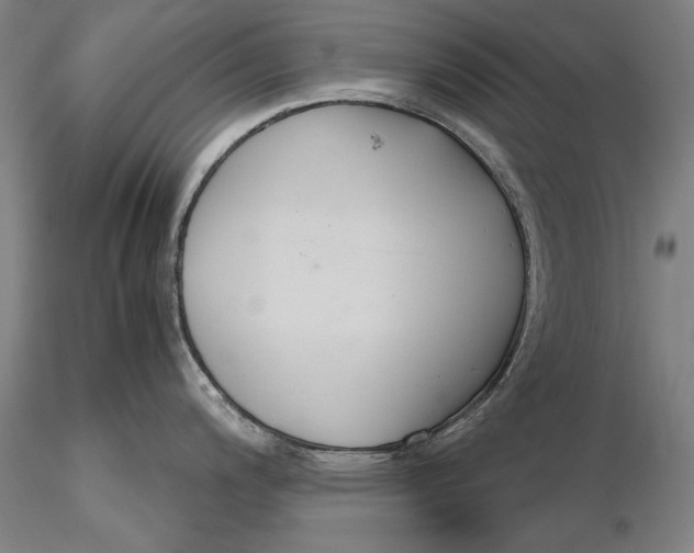 X0000116261200200912211730