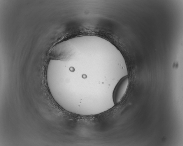 X0000116261201200912211729