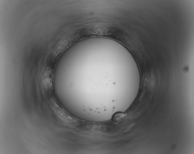 X0000116261202200912211729