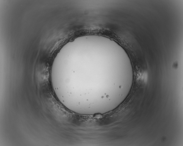 X0000116261204200912211729