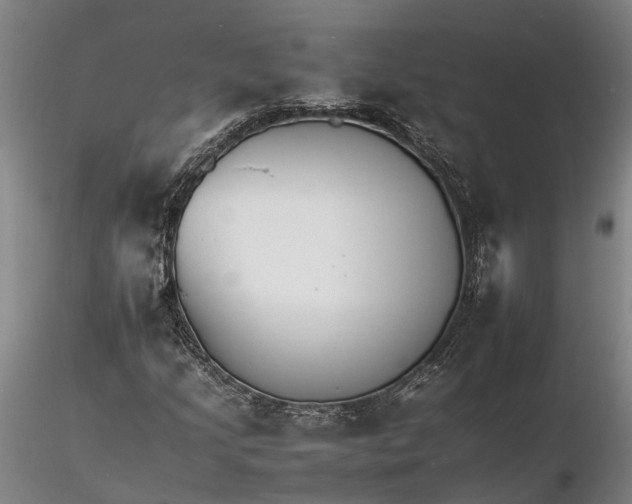 X0000116261205200912211729