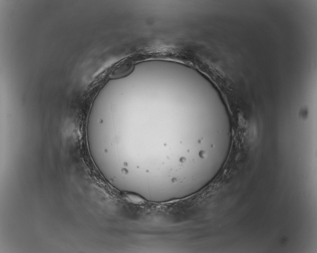 X0000116261206200912211729