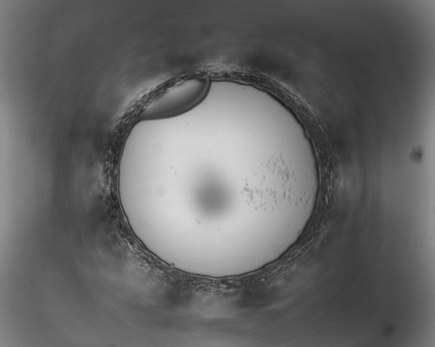 X0000116261207200912211729