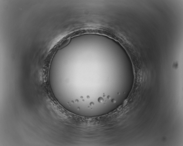 X0000116261208200912211729