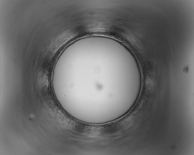 X0000116261209200912211729