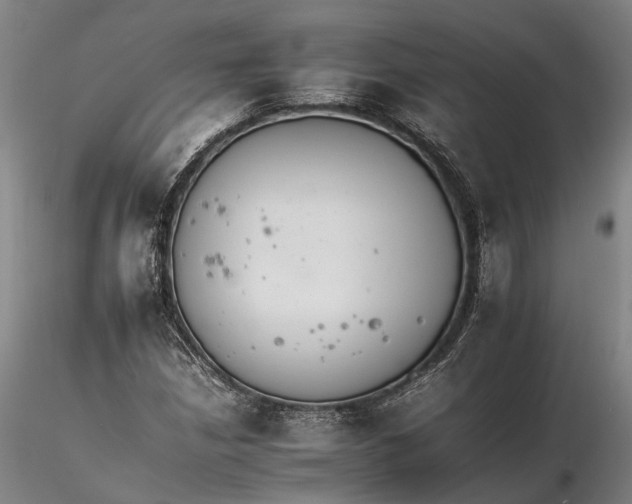 X0000116261210200912211729