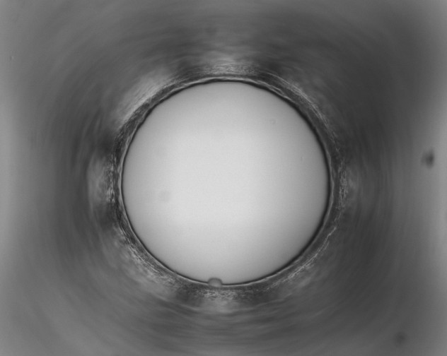 X0000116261211200912211729