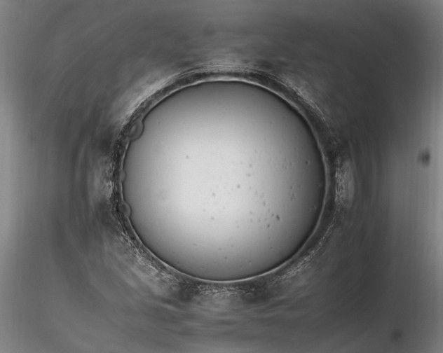 X0000116261213200912211729