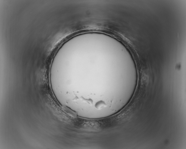 X0000116261215200912211729