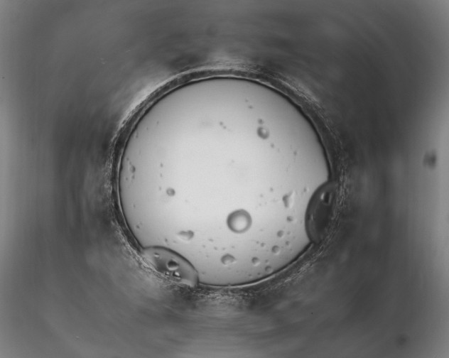X0000116261216200912211729