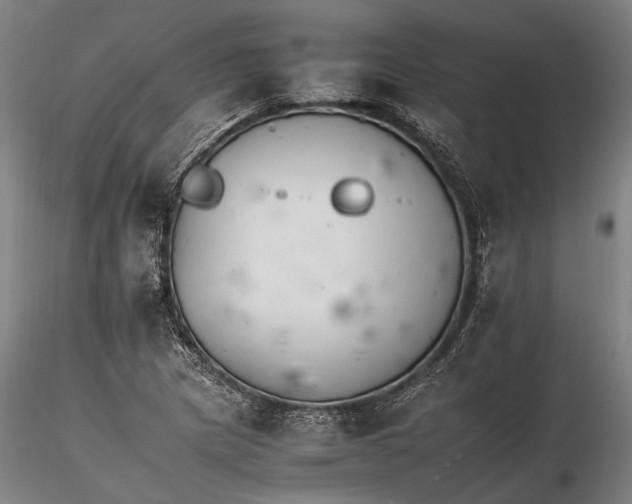 X0000116261217200912211729