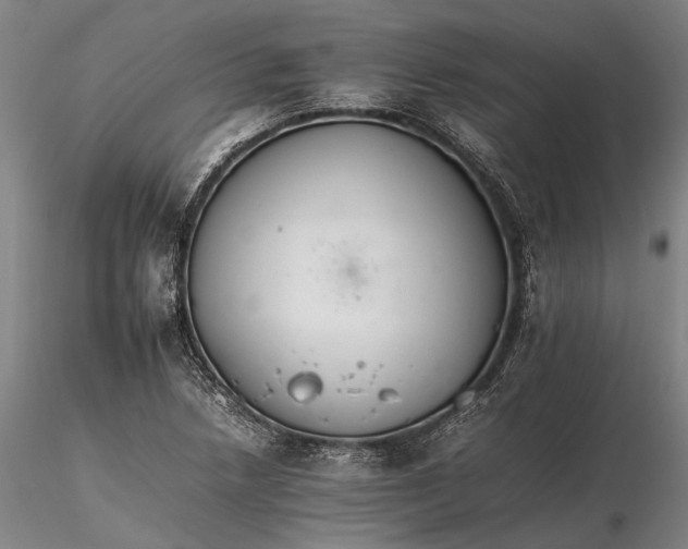 X0000116261218200912211729