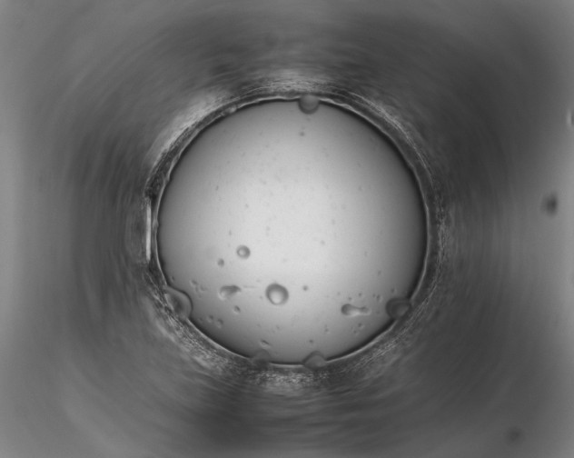 X0000116261219200912211729