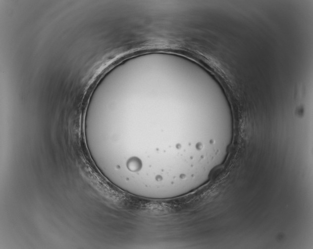 X0000116261220200912211729