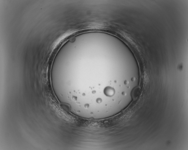 X0000116261222200912211729