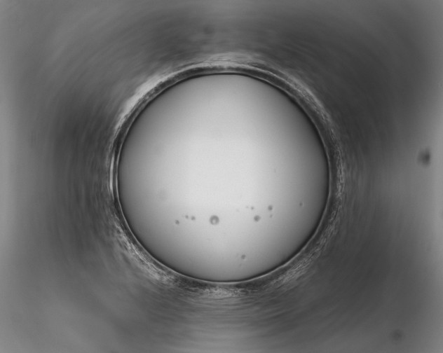 X0000116261224200912211729