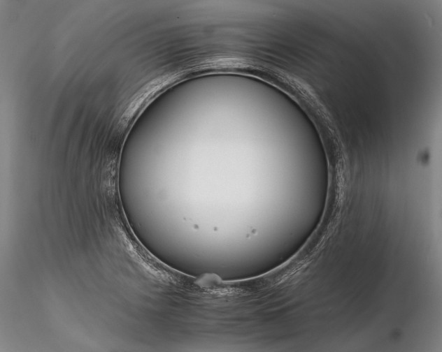X0000116261225200912211729