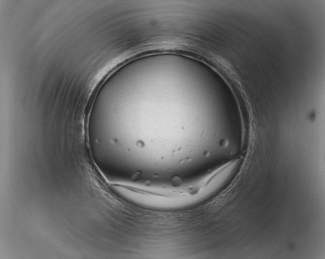 X0000116261226200912211729