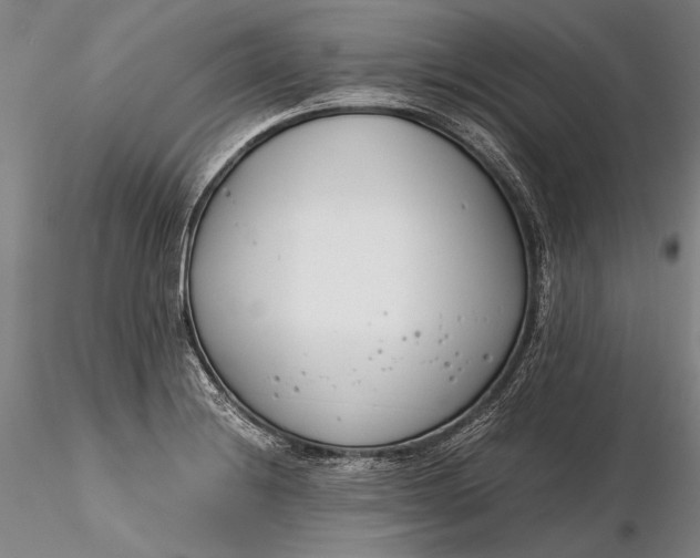 X0000116261228200912211729